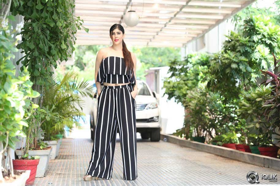 Actress-Aditi-Singh-Latest-Photos